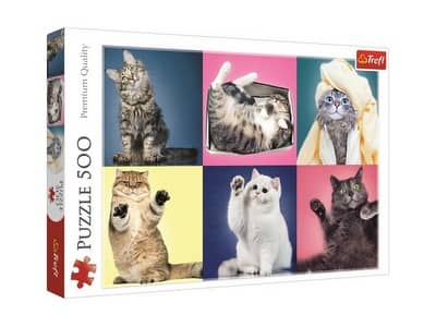 Trefl Puzzle 500 – Mačiatka