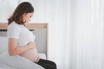 24. týždeň tehotenstva