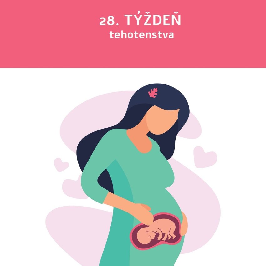 28. týždeň tehotenstva tehotenske bruško