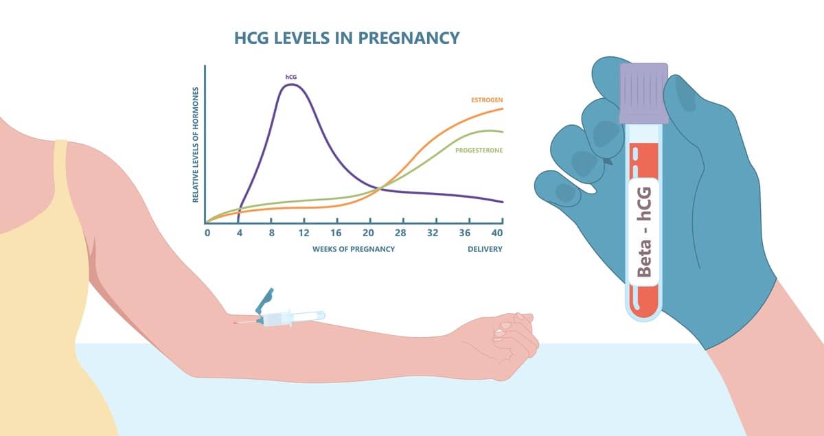 Hodnoty hCG počas tehotenstva