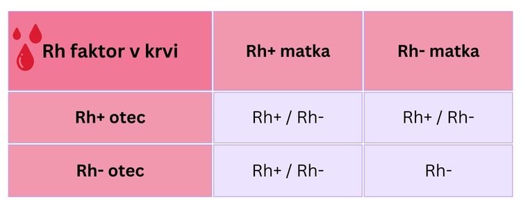 Kombinácie Rh faktorov v krvi u matky a otca