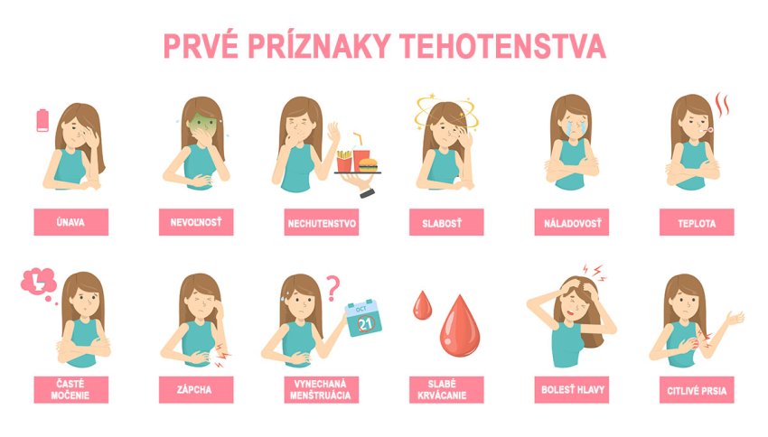 prvé príznaky tehotenstva - zvracanie, časté močenie, citlivé prsia