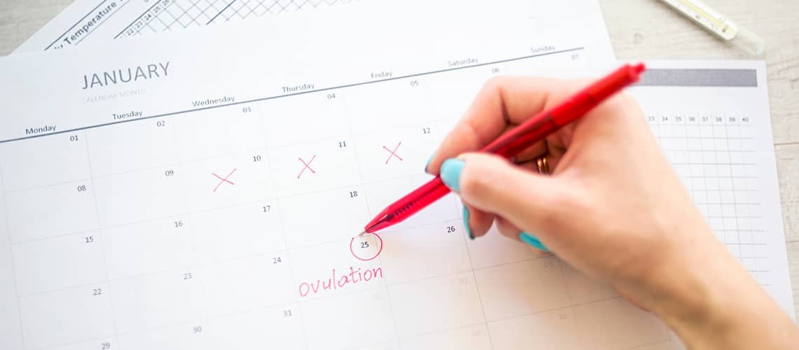Kedy je ovulácia po menštruácii?