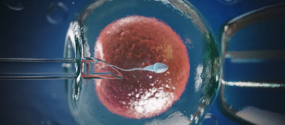 Umelé oplodnenie (IVF)