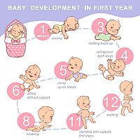 Vývoj dieťaťa v prvom roku