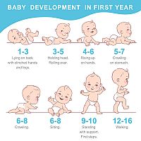 Vývoj dieťaťa v prvom roku