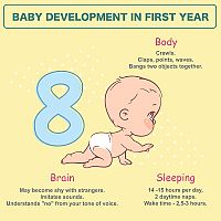 Vývoj dieťaťa v prvom roku 8-mesačné bábätko