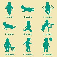 Vývoj dieťaťa v prvom roku 9-mesačné dieťa