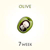 7. týždeň tehotenstva – veľkosť dieťaťa