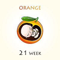 21. týždeň tehotenstva – veľkosť dieťaťa