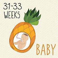 31. týždeň tehotenstva veľkosť plodu