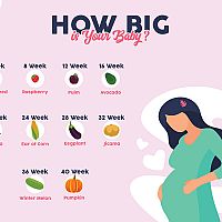Ako dlho trvá tehotenstvo? Veľkosť dieťaťa