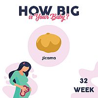 32. týždeň tehotenstva veľkosť dieťaťa