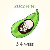 34. týždeň tehotenstva veľkosť bábätka