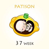 37. týždeň tehotenstva veľkosť plodu