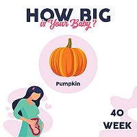 40. týždeň tehotenstva veľkosť bábätka