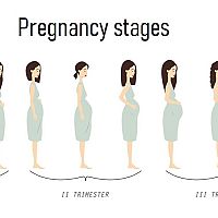 40. týždeň tehotenstva
