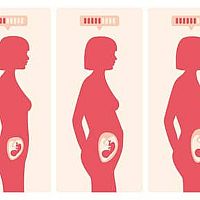 Týždne tehotenstva na mesiace bruško