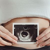 Bruško v druhom mesiaci tehotenstva